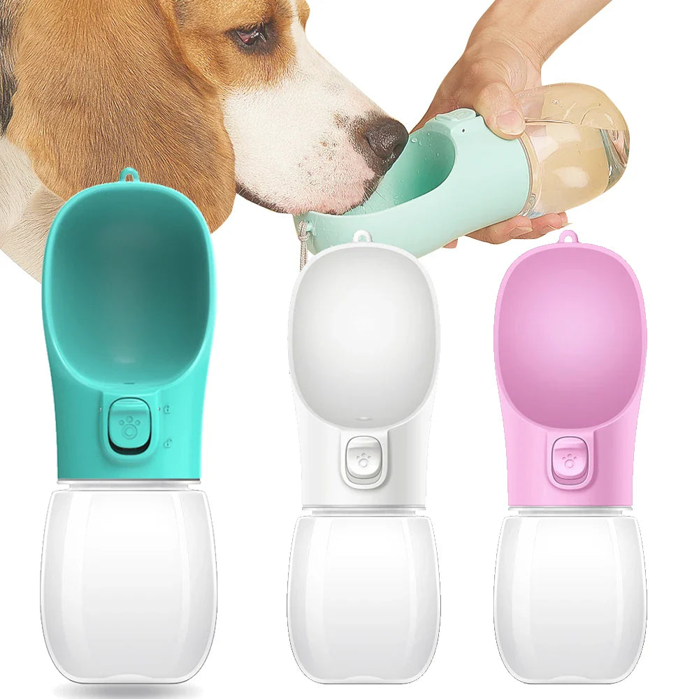 Hydration Buddy for Pets