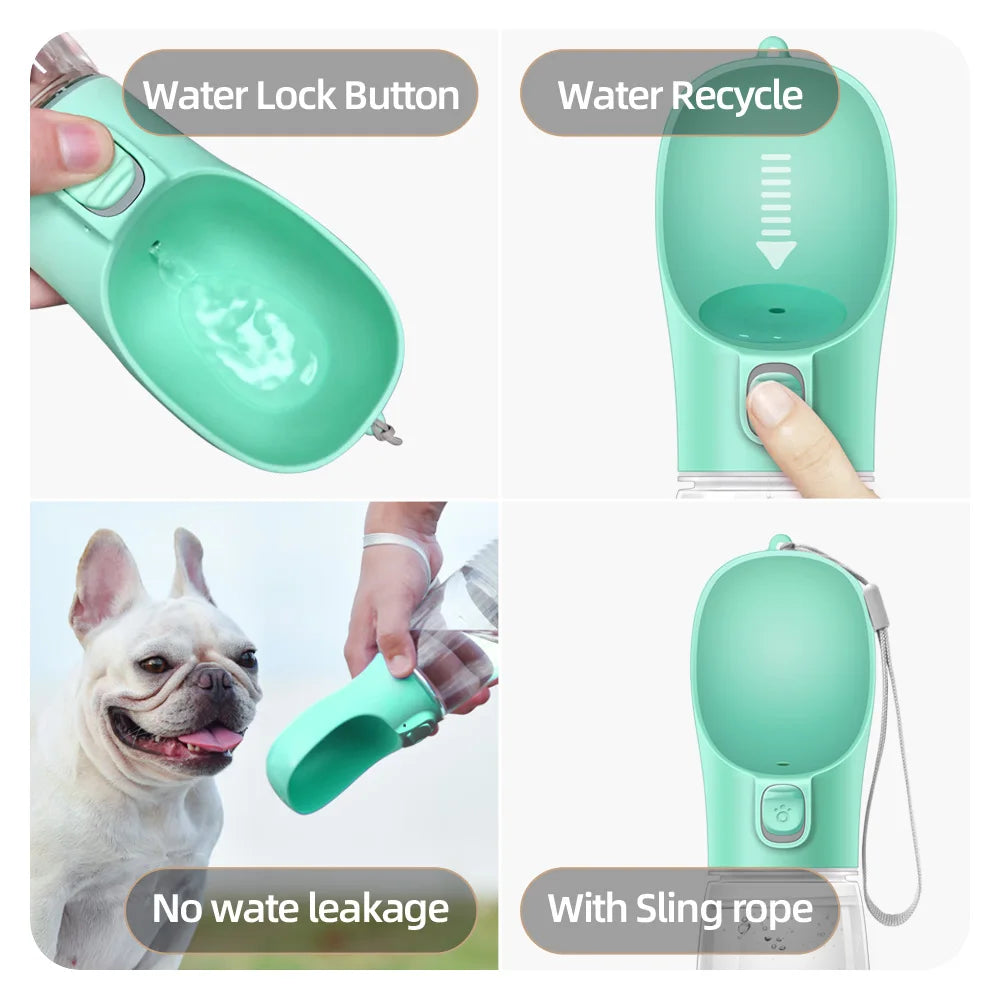 Hydration Buddy for Pets